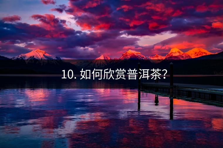 ? 10. 如何欣賞普洱茶？