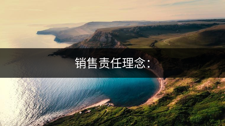 銷售責(zé)任理念: 銷售責(zé)任理念: