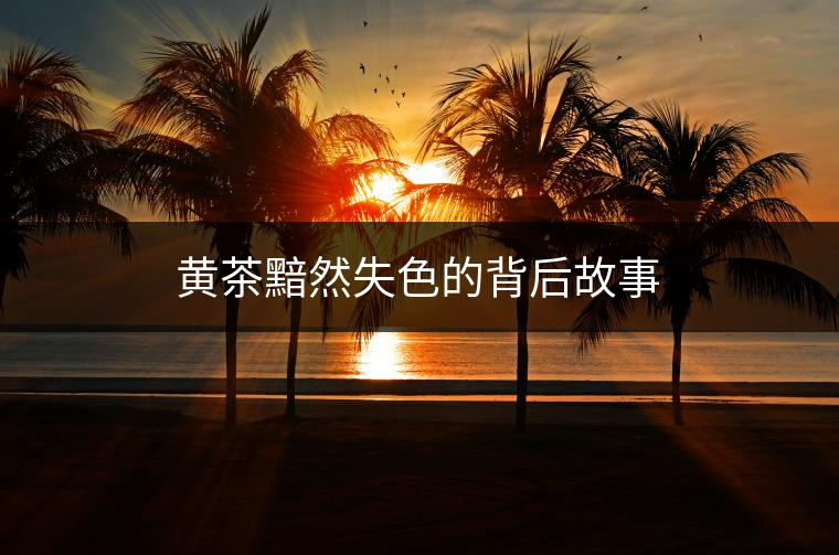 黃茶黯然失色的背后故事 黃茶黯然失色的背后故事