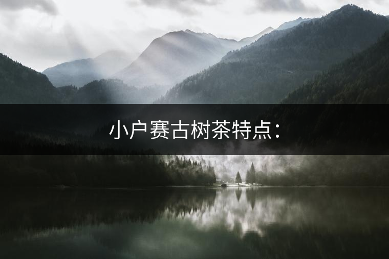 小戶賽古樹茶特點(diǎn): 小戶賽古樹茶特點(diǎn):