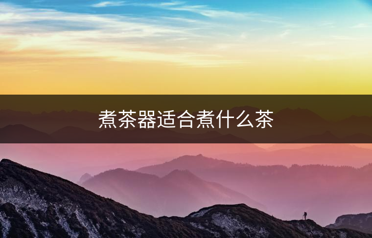 煮茶器適合煮什么茶 煮茶器適合煮什么茶