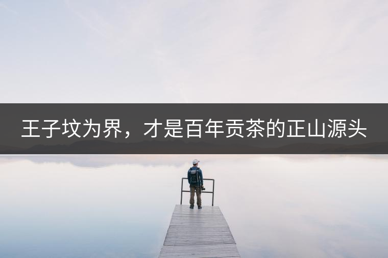 王子墳為界，才是百年貢茶的正山源頭
