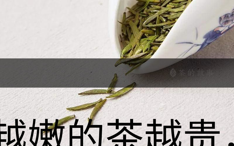 越嫩的茶越貴，但越貴的茶就越好嗎？-1