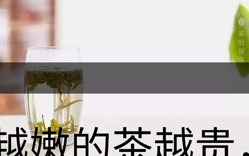 越嫩的茶越貴，但越貴的茶就越好嗎？-2