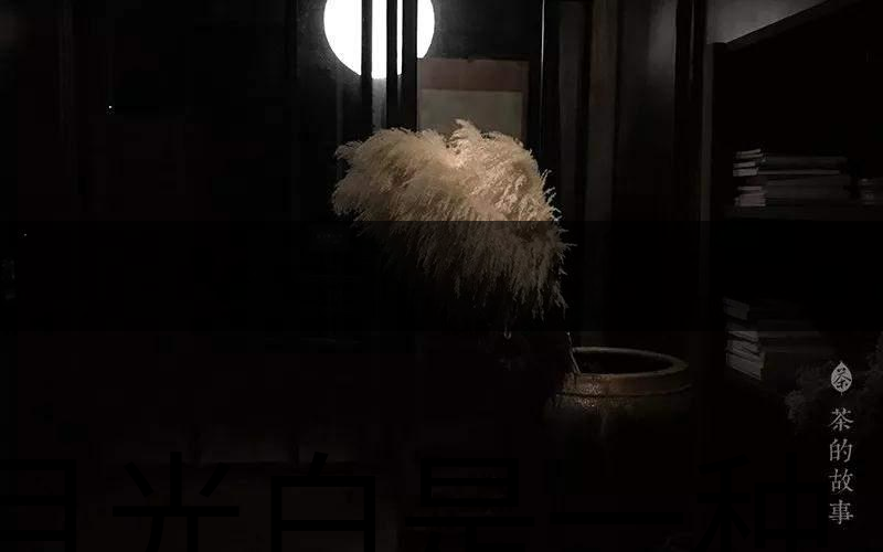 月光白是一種什么茶？