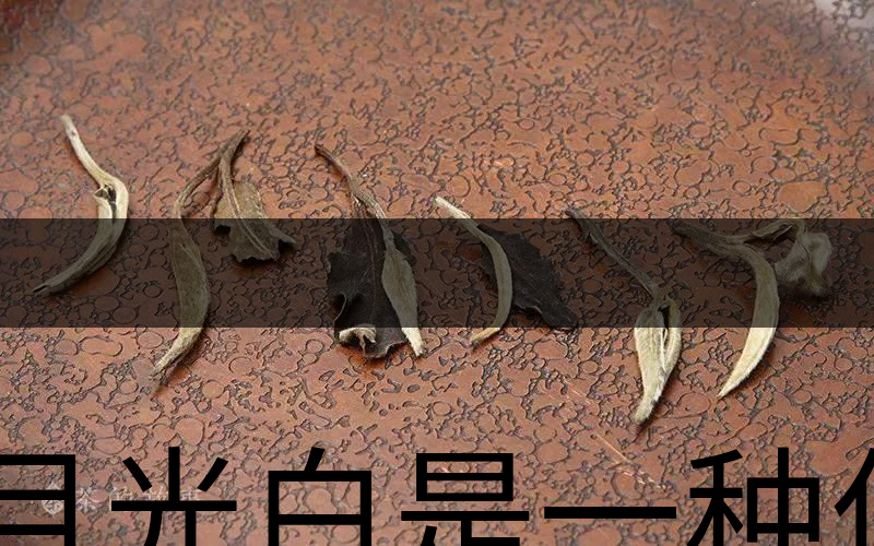 月光白是一種什么茶？-1