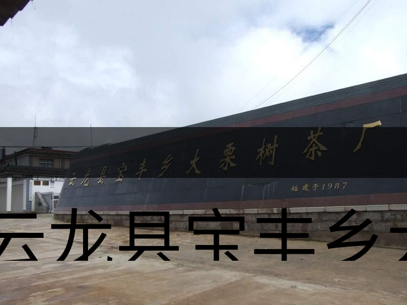 云龍縣寶豐鄉(xiāng)大栗樹(shù)茶廠簡(jiǎn)述-1 云龍縣寶豐鄉(xiāng)大栗樹(shù)茶廠簡(jiǎn)述-1