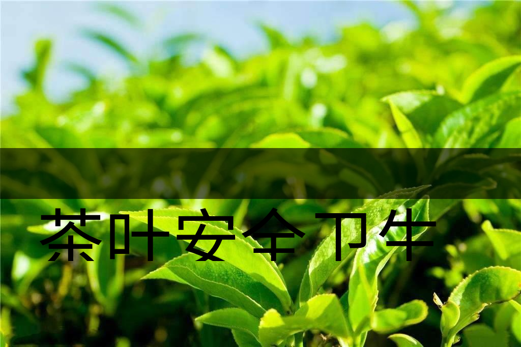 茶葉安全衛(wèi)生與我國相關(guān)法規(guī)管理體系簡述（叁）-1