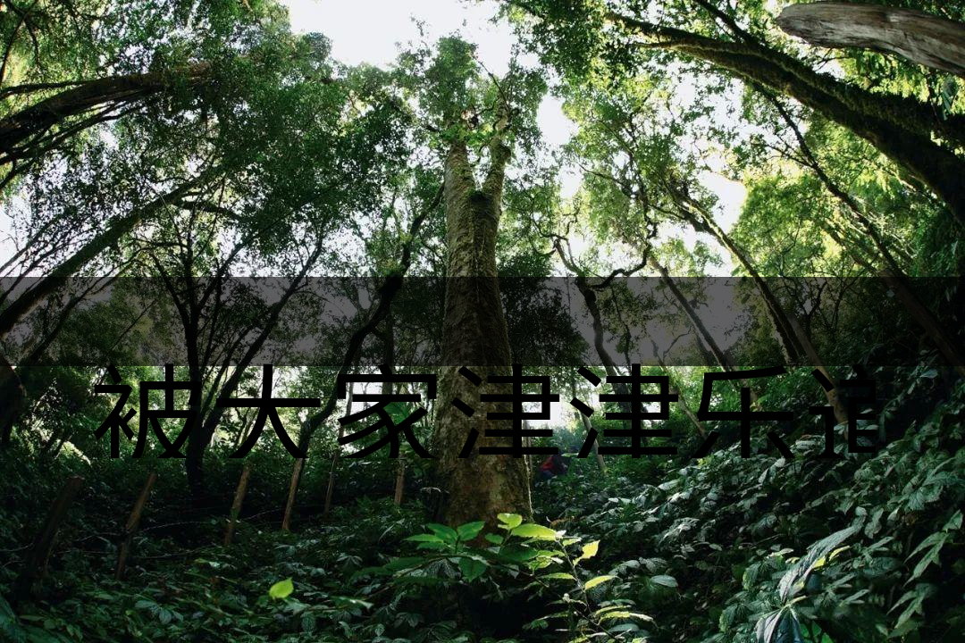 被大家津津樂道的森林茶，你知道是什么？-6-1