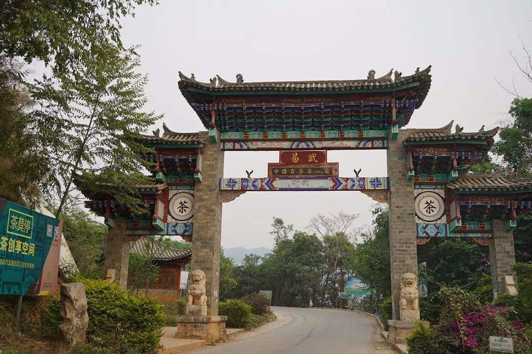 2022年易武正山古樹(shù)春茶特點(diǎn)？