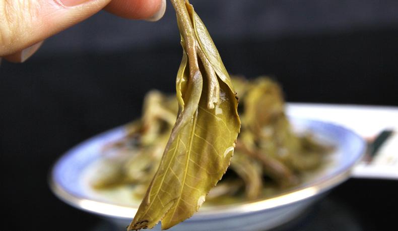 2022年冷水河古樹(shù)春茶價(jià)格？