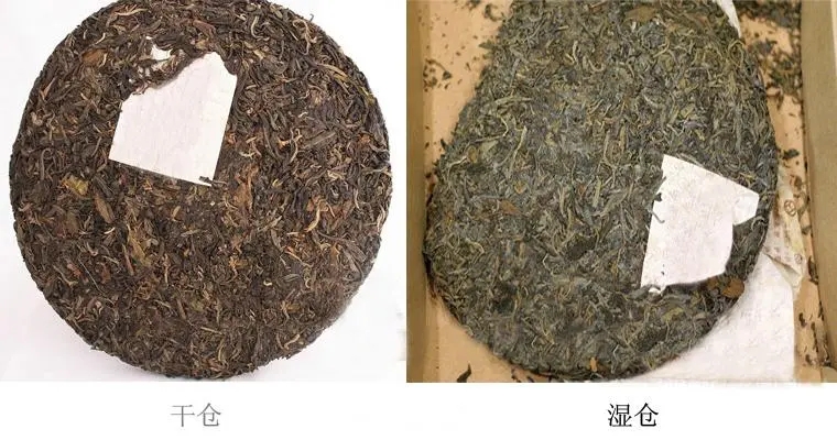普洱茶怎么分辨干濕倉？