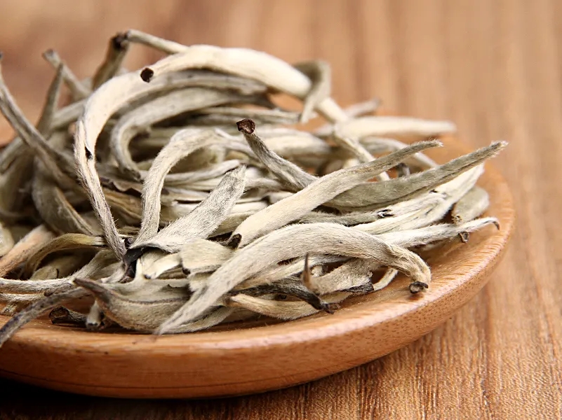 福鼎白茶、安吉白茶、云南月光白“三白”的區(qū)別