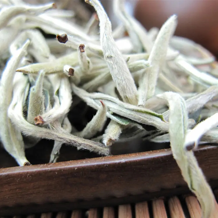 知識(shí)|傳說中的云南月光白