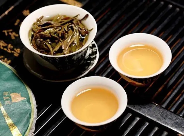 茶會(huì)“說(shuō)話(huà)”，讀懂云南古樹(shù)普洱茶的秘訣