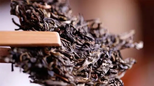 普洱生茶好還是普洱熟茶好喝？如何挑選適合自己的普洱茶？