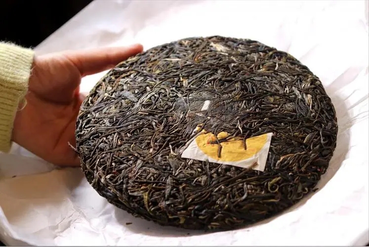 犀牛塘 | 古韻留香，帕沙之王