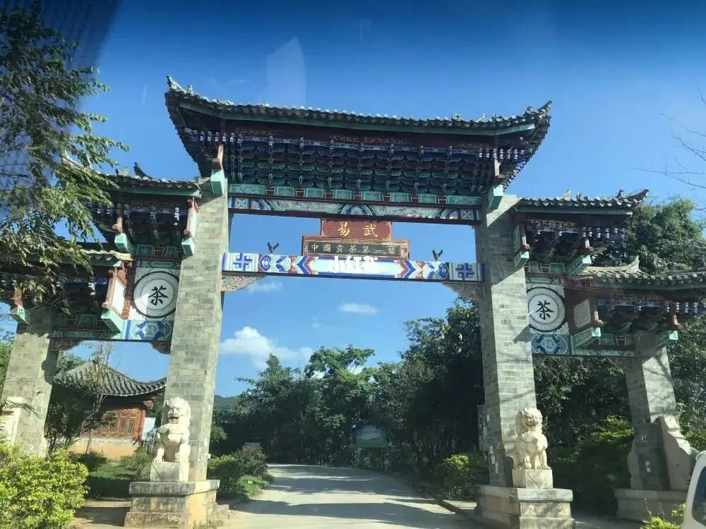 古樹茶年份越老，茶葉就越好嗎？影響茶葉品質(zhì)的因素有哪些？