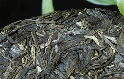 喝普洱茶，一定要喝老茶嗎？