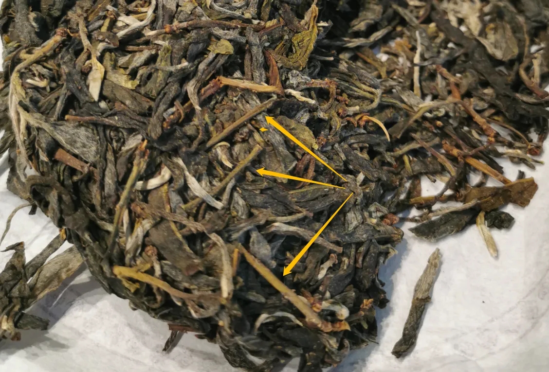 普洱茶的葉底有茶梗，就是茶不好嗎？