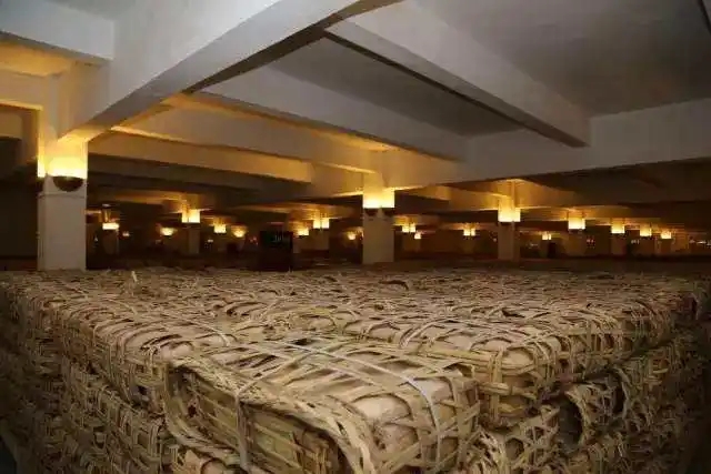 云南古樹(shù)普洱茶好在哪？相比小樹(shù)茶、臺(tái)地茶有何不同？