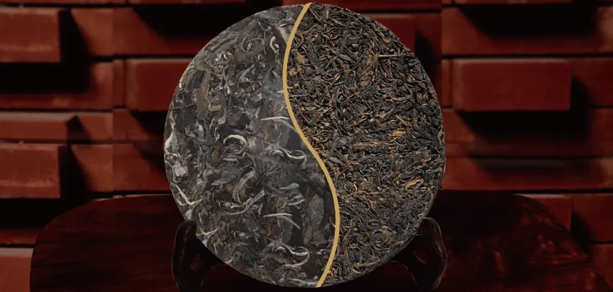 一入普門深似海？入普洱門前，你需要了解這些