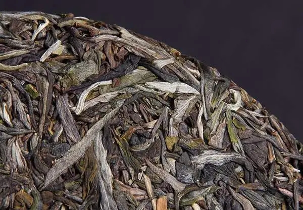 普洱茶屬于什么茶？普洱茶為什么會越陳越香？