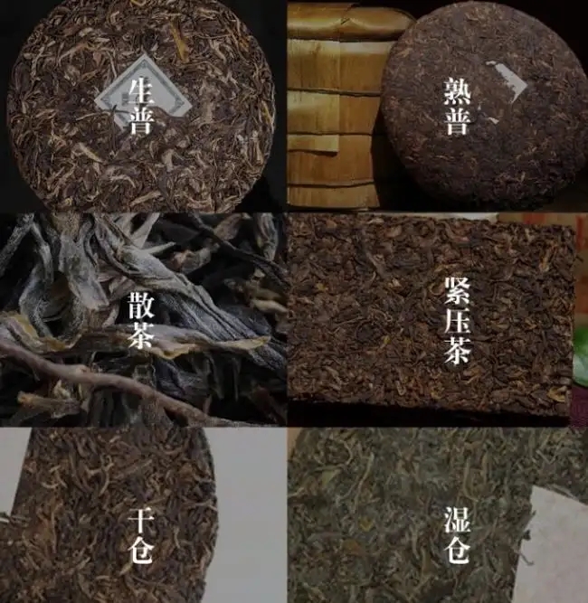 普洱茶不是越陳越香嗎？怎么也有最佳品飲期？