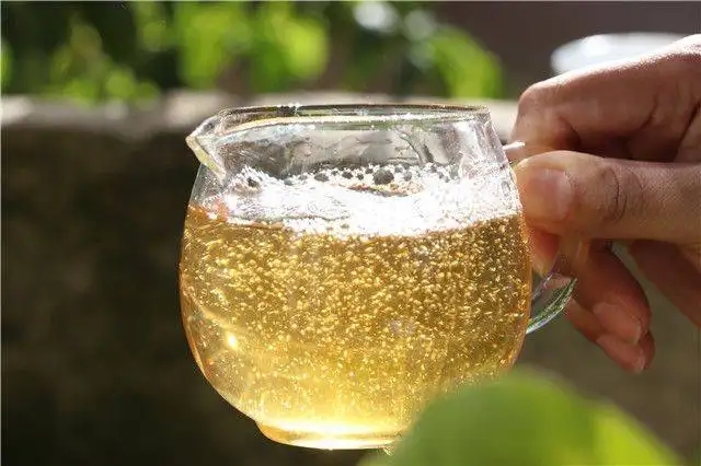 茶顏觀色”，看普洱茶條索里都蘊(yùn)含著怎樣的“密碼”？