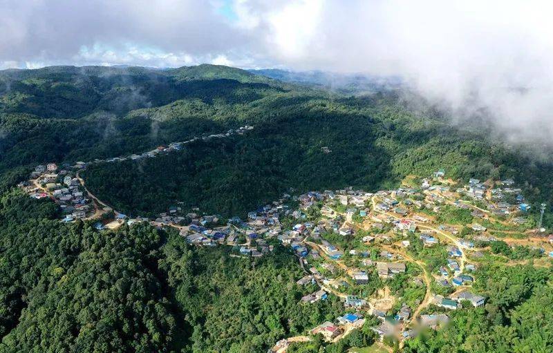 2023年帕沙古樹春茶口感怎么樣？