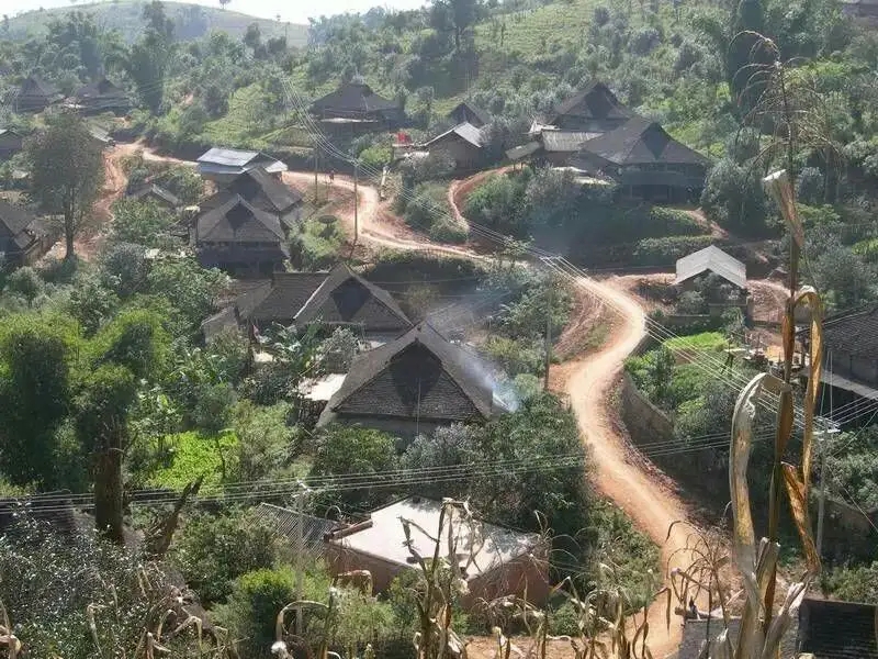 2023年保塘老寨古樹(shù)春茶品質(zhì)如何？