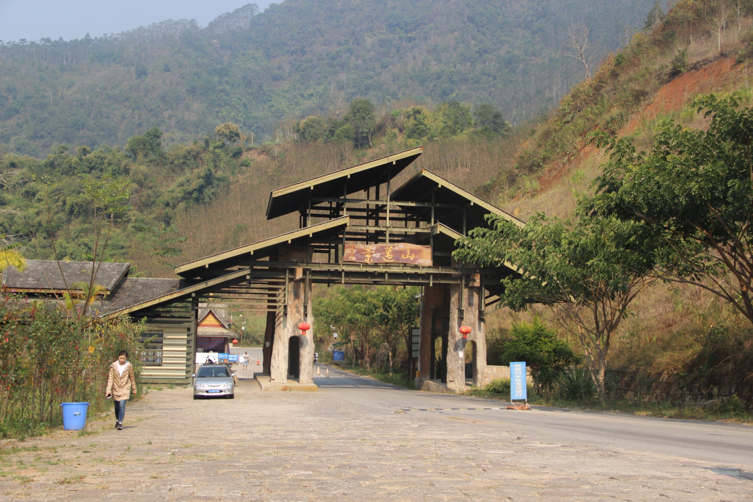 2023年景邁古樹春茶口感如何？