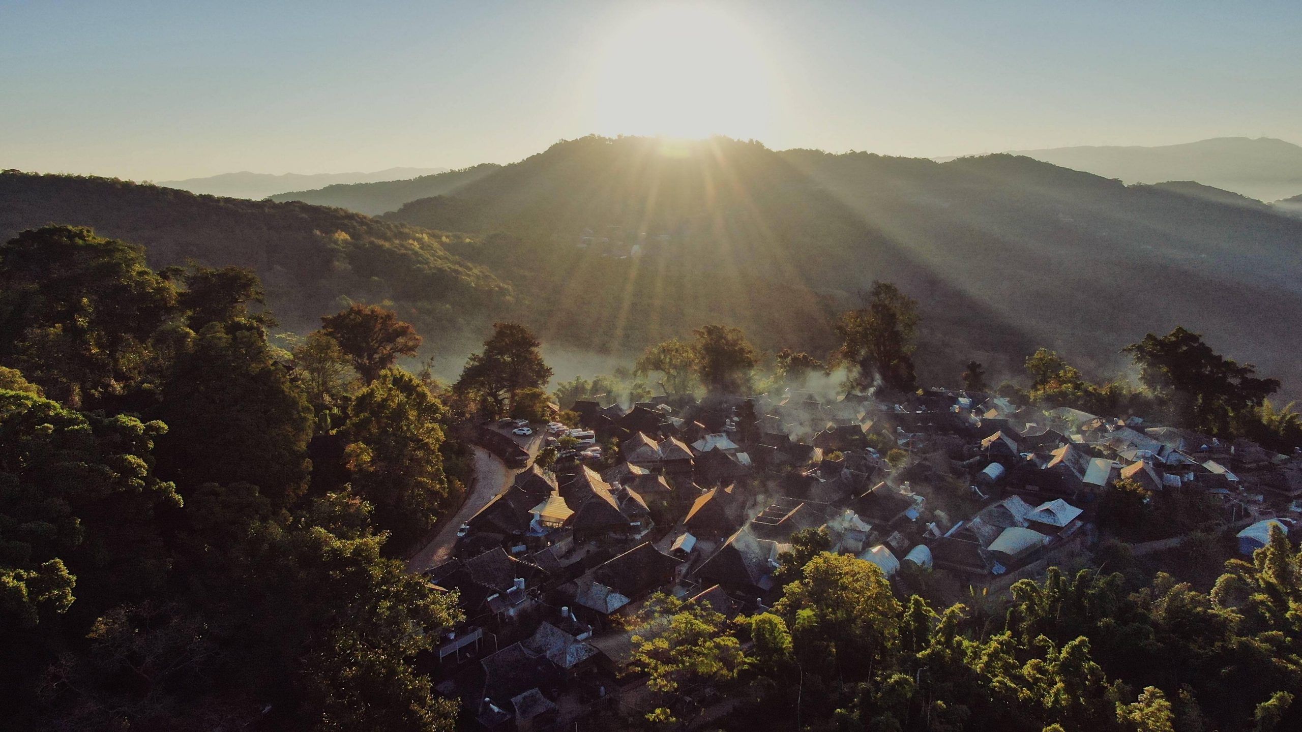 2023年景邁古樹春茶多少錢一公斤？