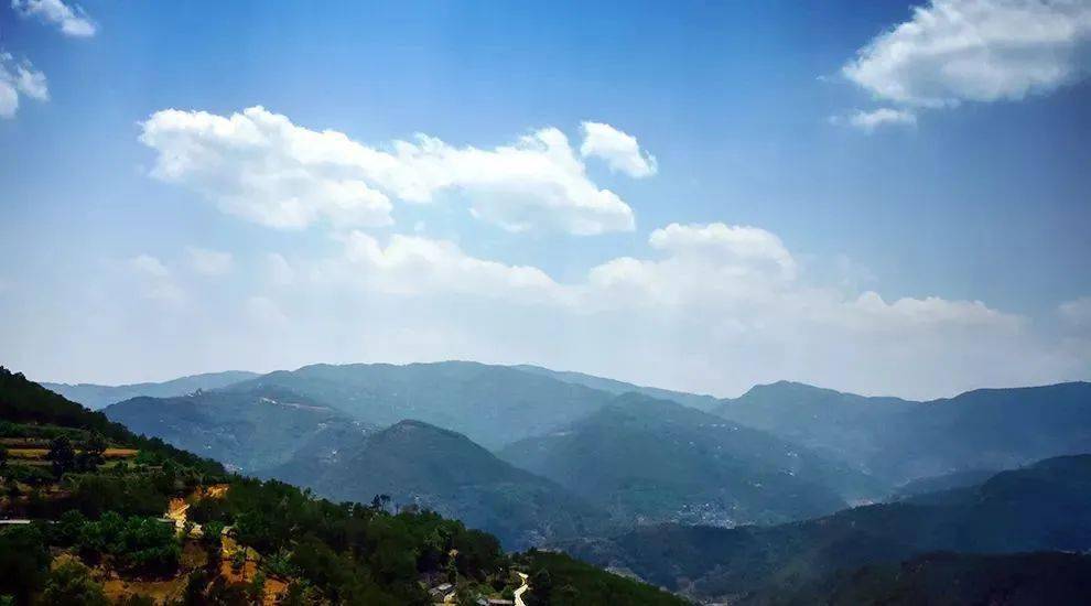 2023年勐庫大忠山古樹春茶價(jià)格是多少？