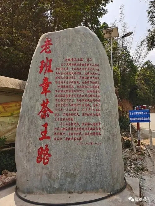 2024年老班章古樹春茶品質(zhì)如何？