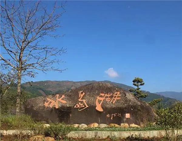 2024年冰島老寨古樹春茶品質怎么樣？