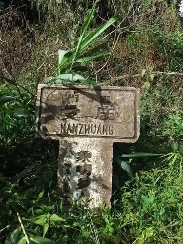 2025年蠻磚古樹春茶特點(diǎn)是什么？